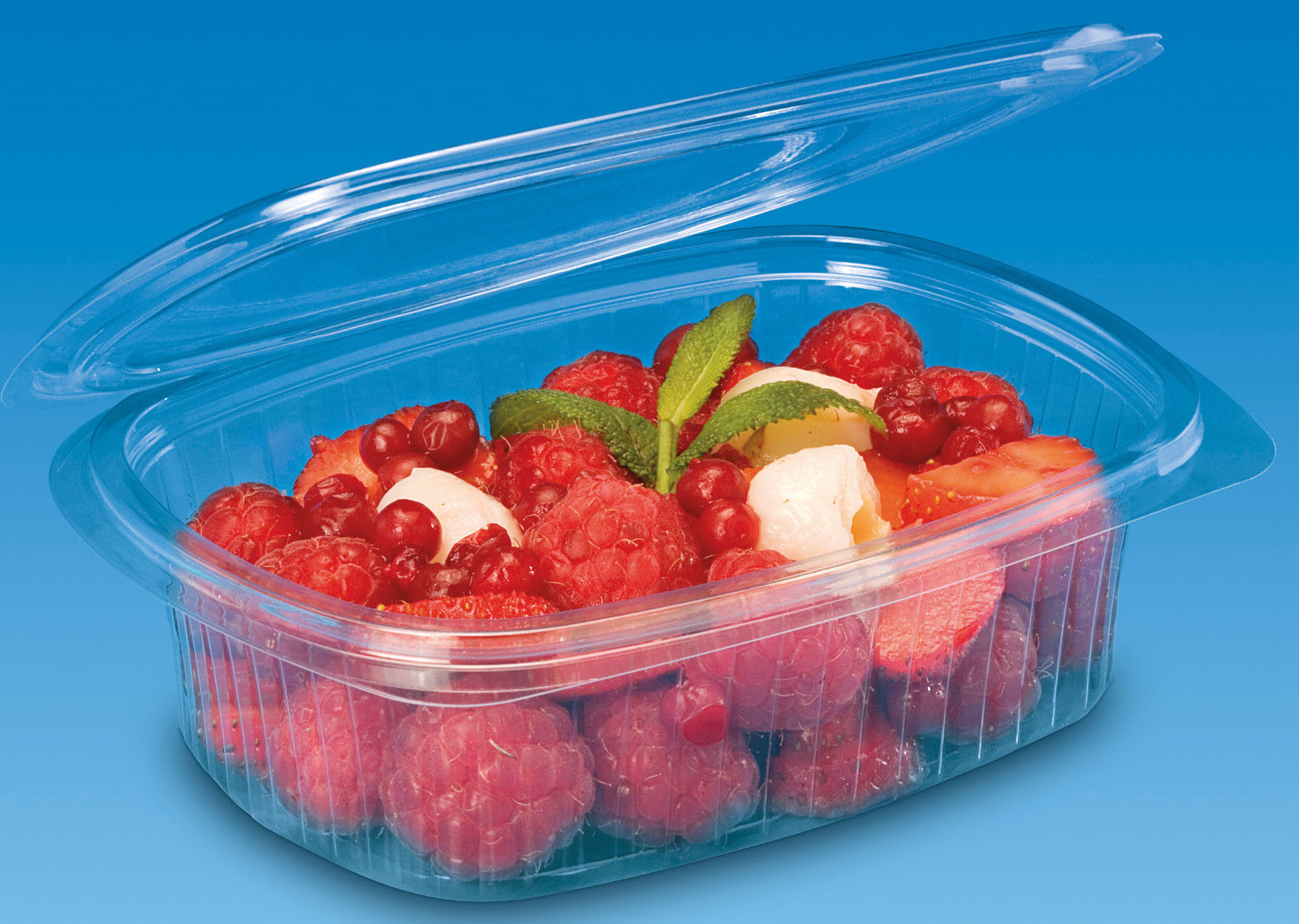 Salatschale Beilagenschale oval, 500ml, mit anhängendem Deckel, (9x50) VE 450