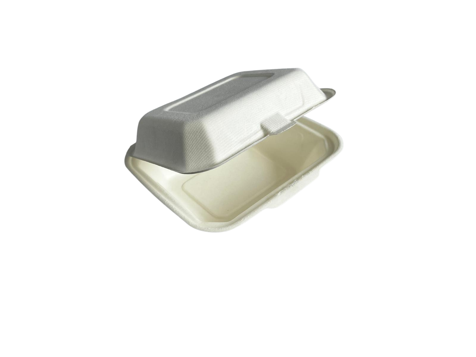 Bagasse Lunch Box IP9, 500 Stück/Karton
